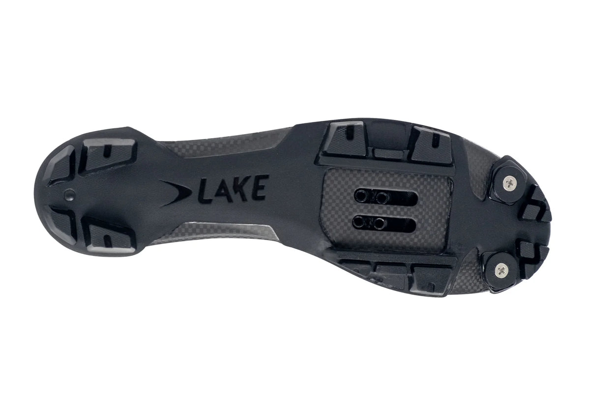 Lake MX20G