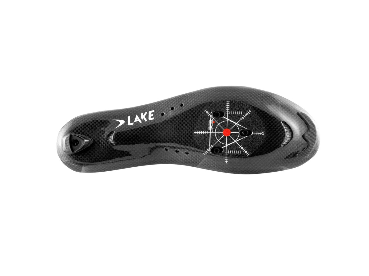 Lake CX302