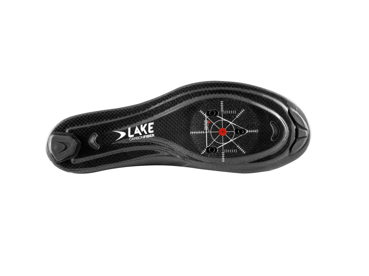 Lake CX219